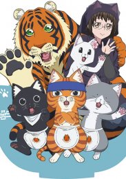 Аниме онлайн